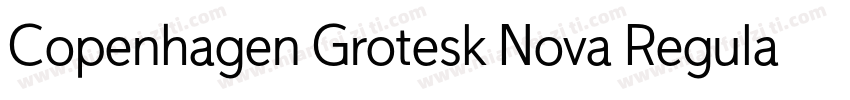 Copenhagen Grotesk Nova Regular字体转换